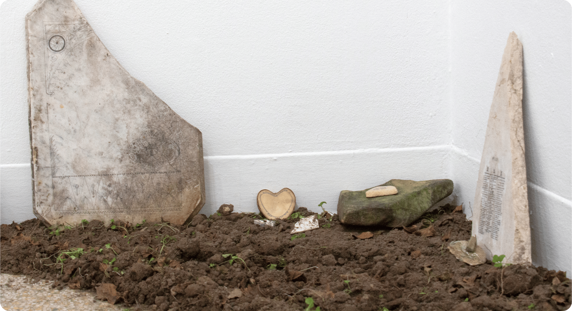 Exhibition — image